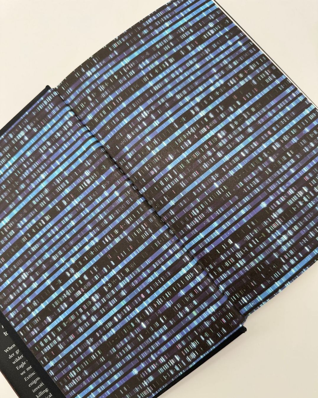 Paradox: A Novel