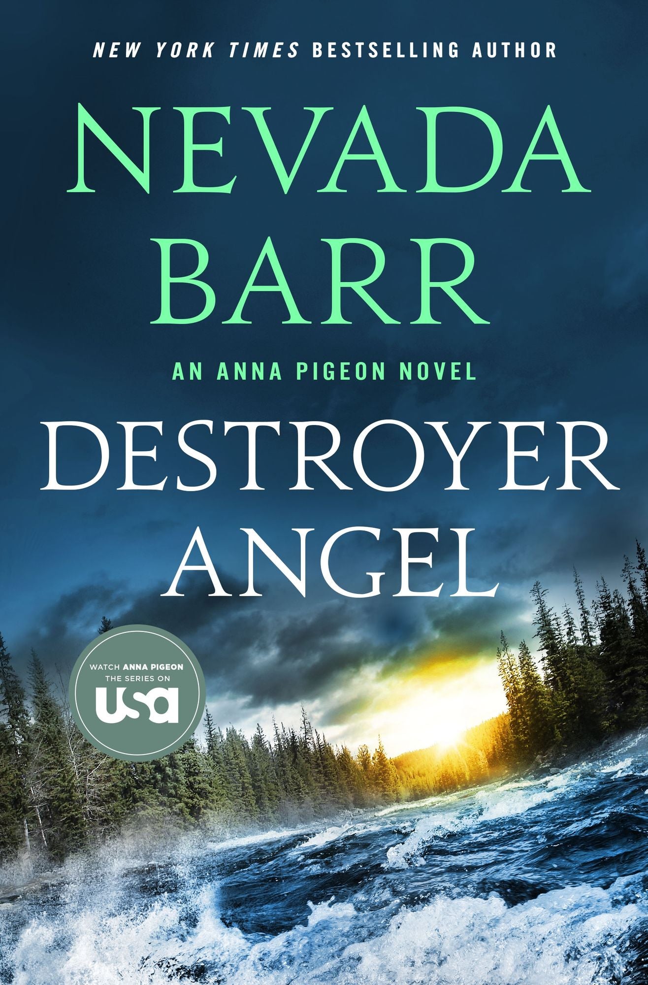 Destroyer Angel: An Anna Pigeon Novel
