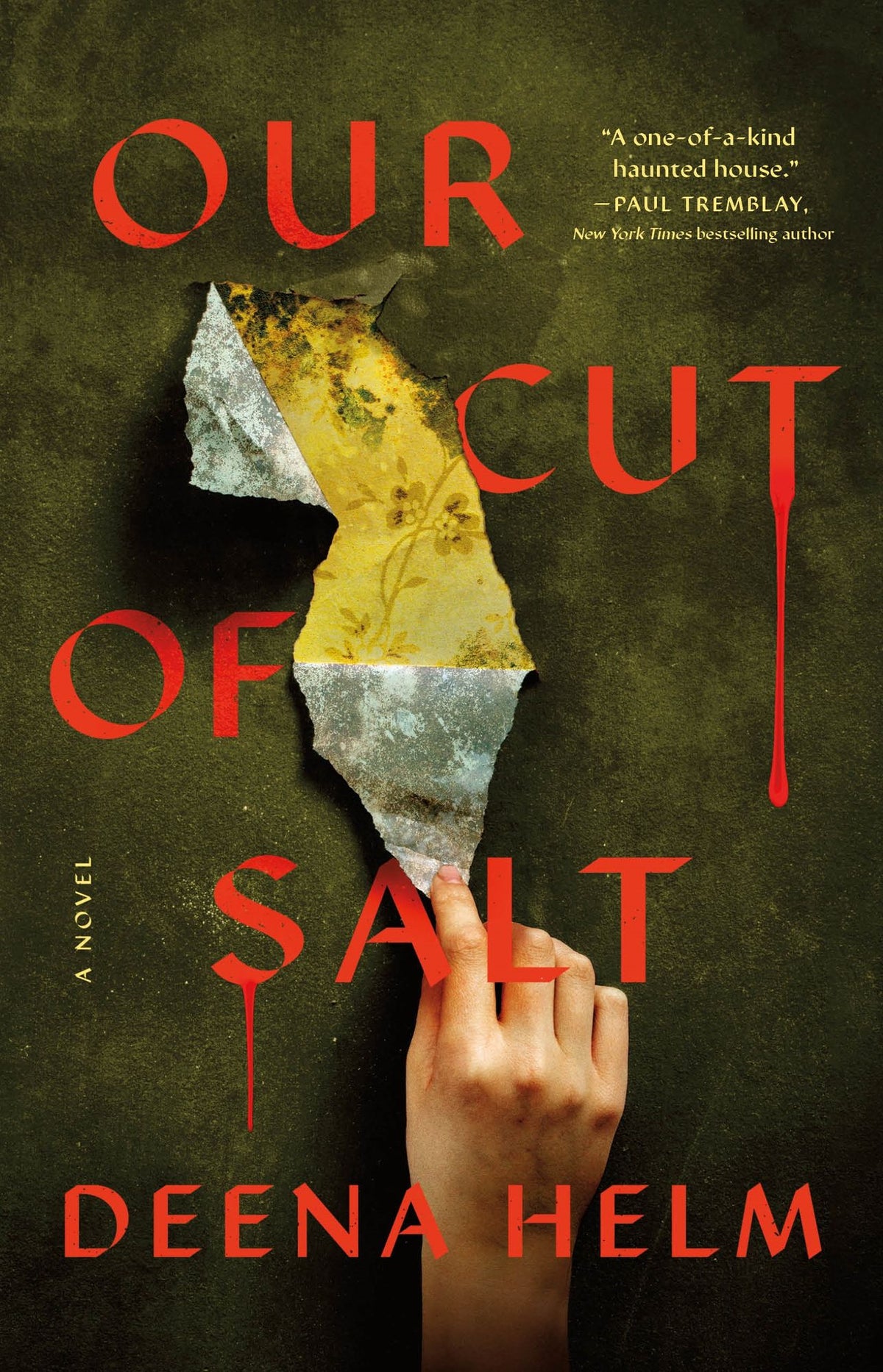 Our Cut of Salt: A Novel