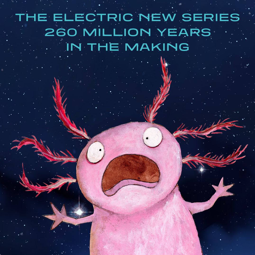 Game of Pets Book 1: The Boy Who Knew Too Much (B&N Exclusive Edition)