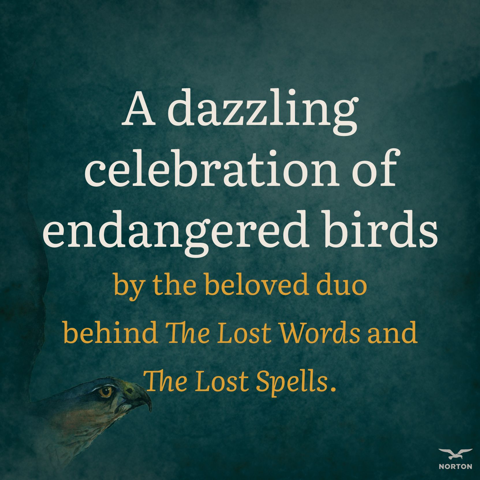 The Book of Birds: A Field Guide to Wonder and Loss