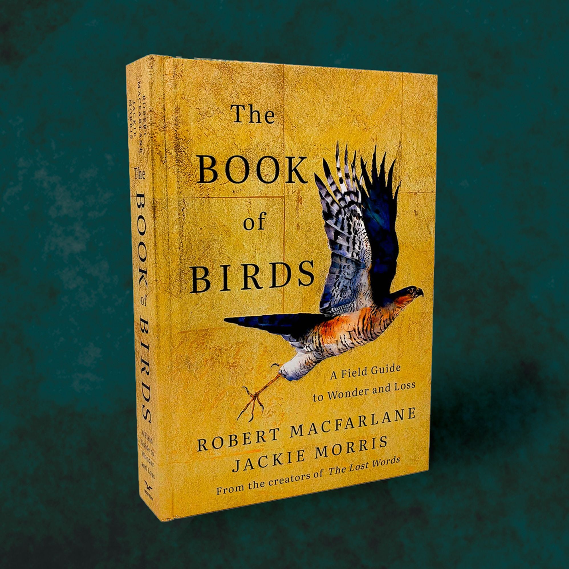 The Book of Birds: A Field Guide to Wonder and Loss