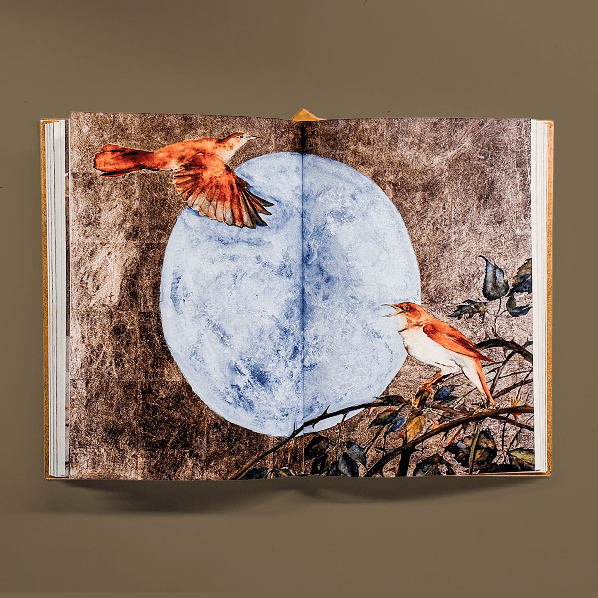 The Book of Birds: A Field Guide to Wonder and Loss