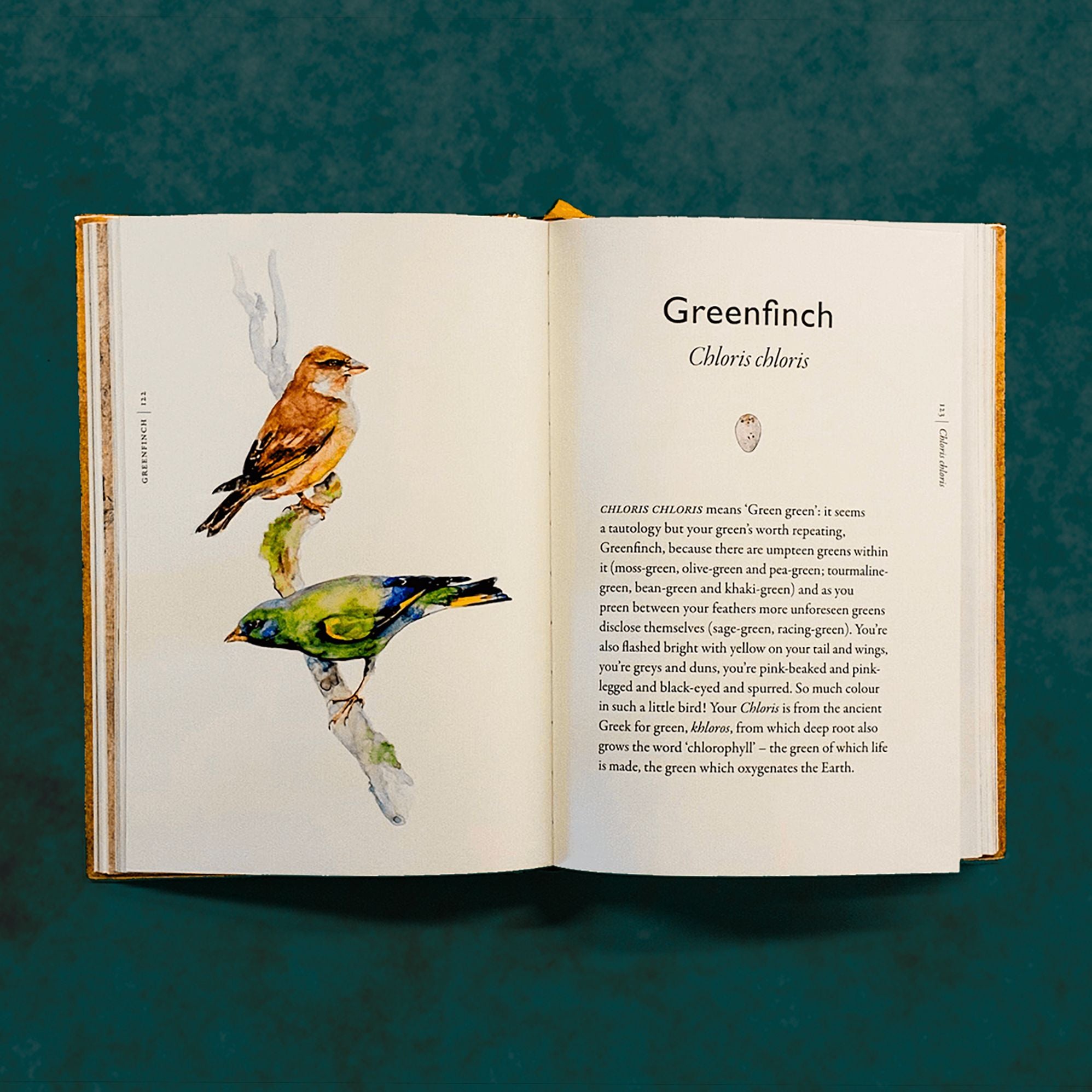 The Book of Birds: A Field Guide to Wonder and Loss