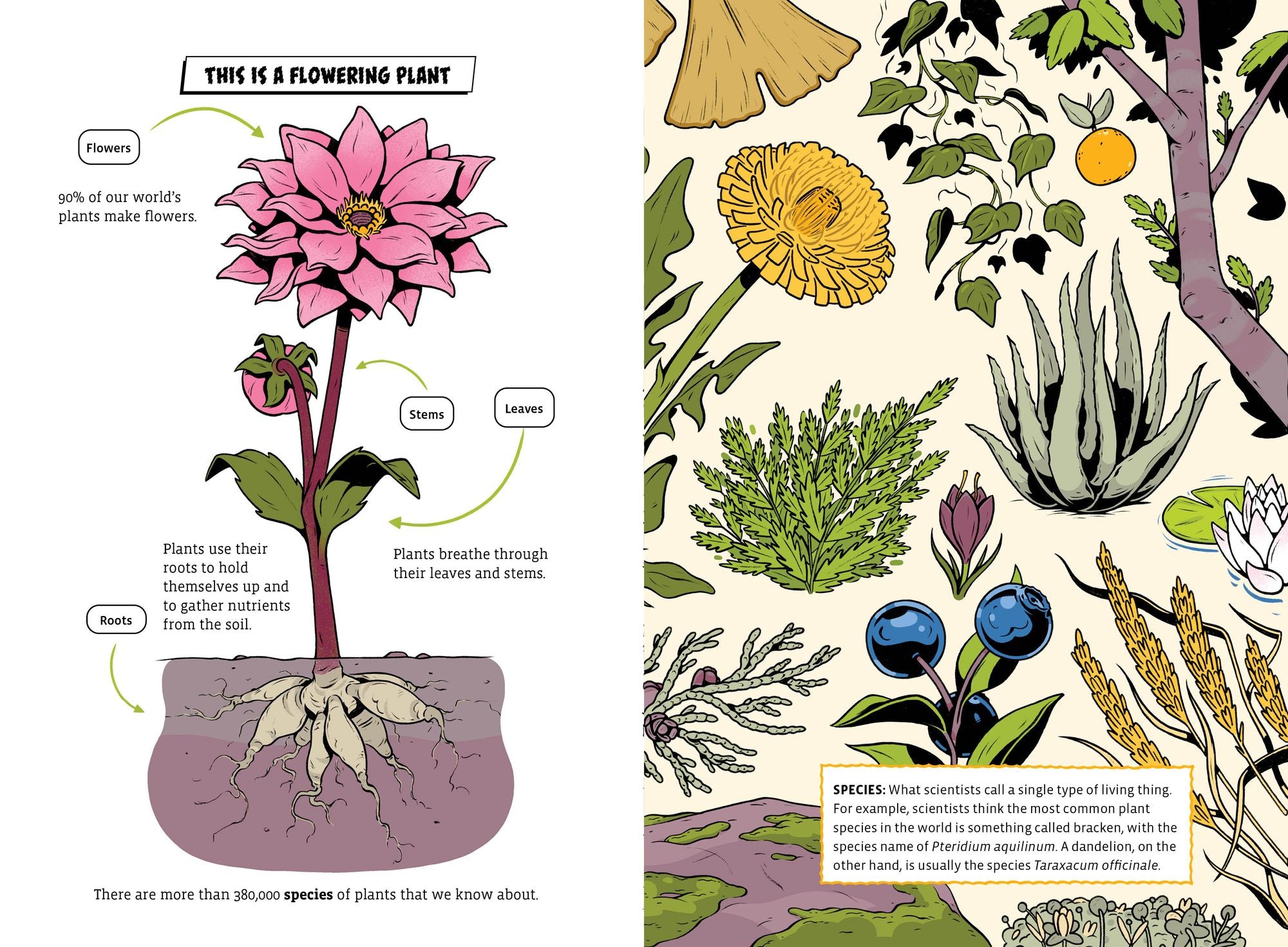 The Deadliest: Flower