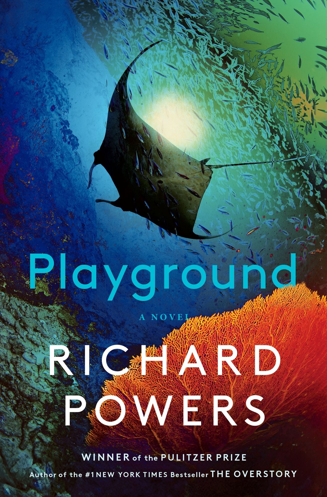 Playground: A Novel