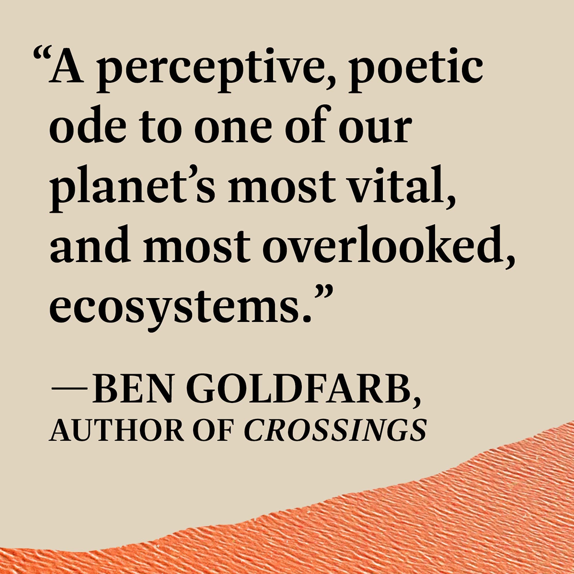 Salt Lakes: An Unnatural History