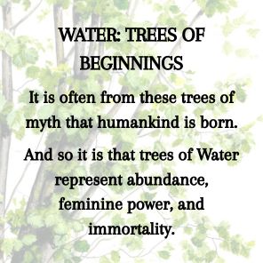 Tree Lore: Magic, Myth, and Wisdom from Root to Bough