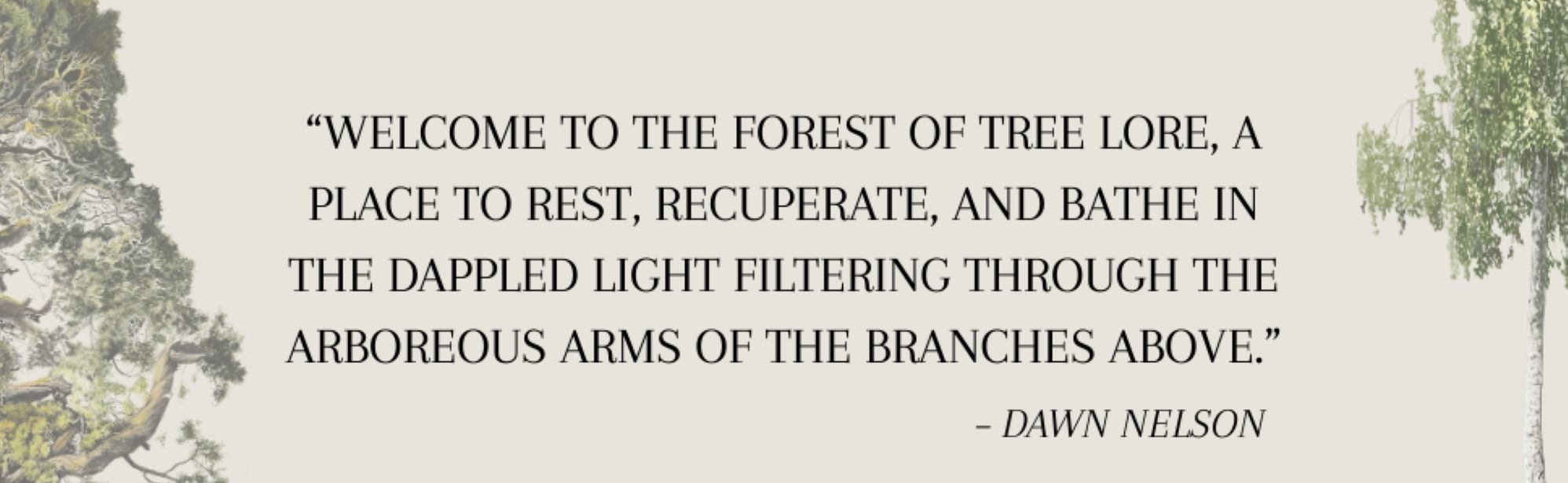 Tree Lore: Magic, Myth, and Wisdom from Root to Bough