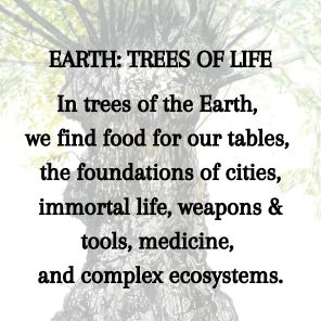 Tree Lore: Magic, Myth, and Wisdom from Root to Bough