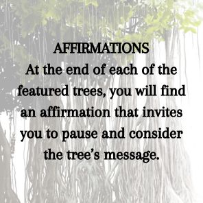 Tree Lore: Magic, Myth, and Wisdom from Root to Bough
