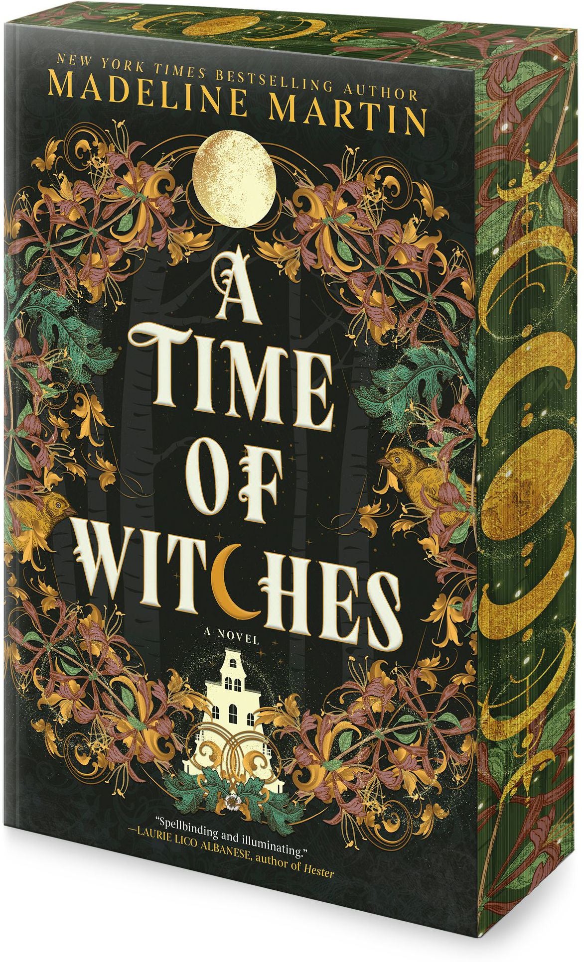 A Time of Witches: A Novel