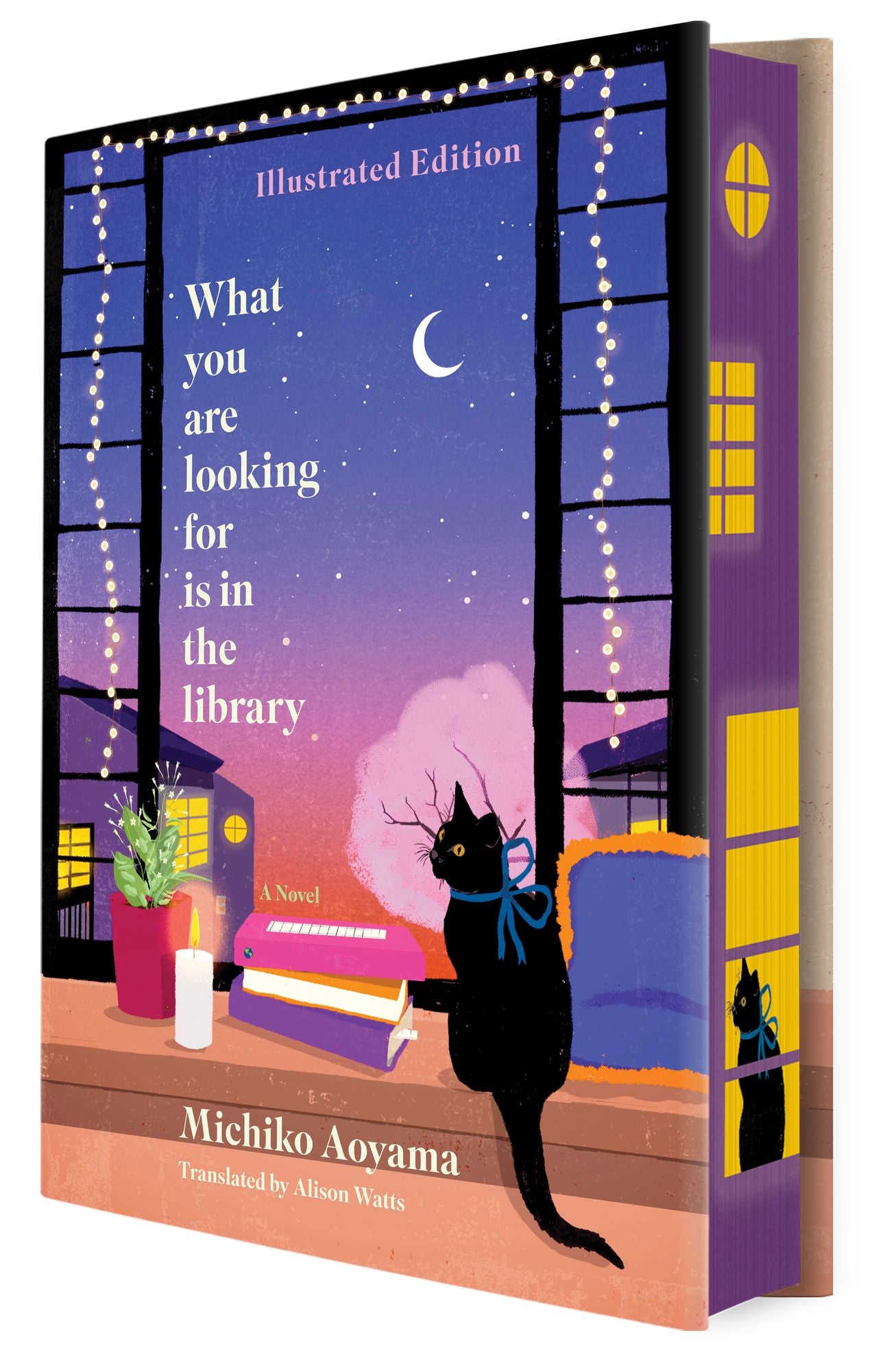 What You Are Looking For Is in the Library Illustrated Edition: A Novel