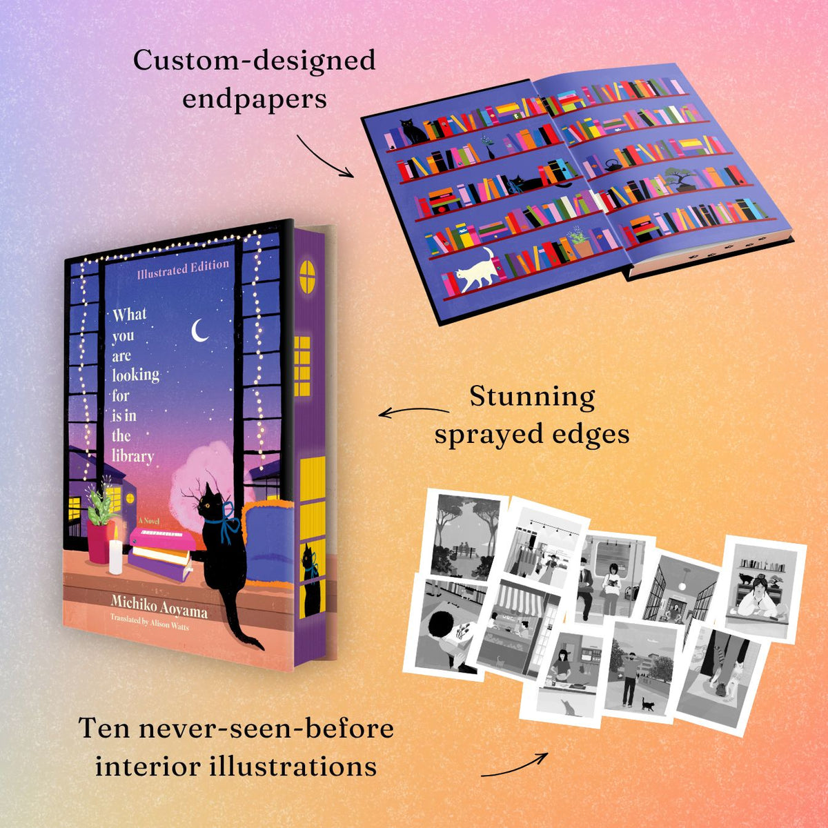What You Are Looking For Is in the Library Illustrated Edition: A Novel