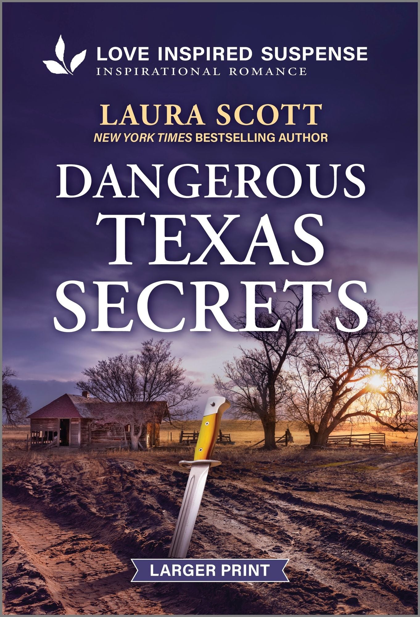Dangerous Texas Secrets