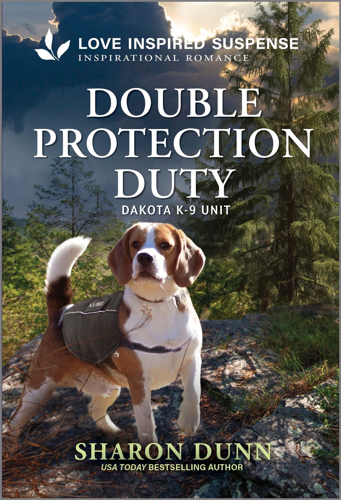 Double Protection Duty: A Romantic Suspense K-9 Story