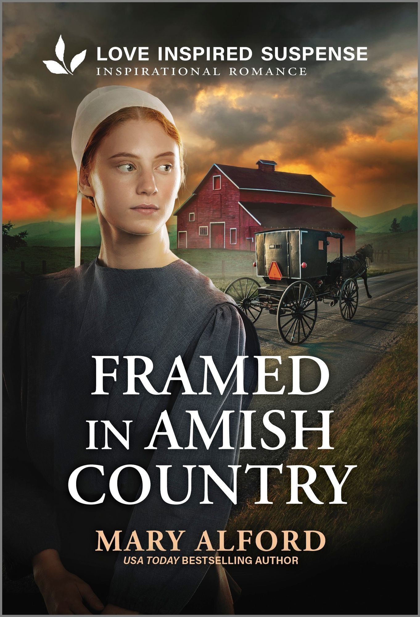 Framed in Amish Country: An Amish Suspense Novel