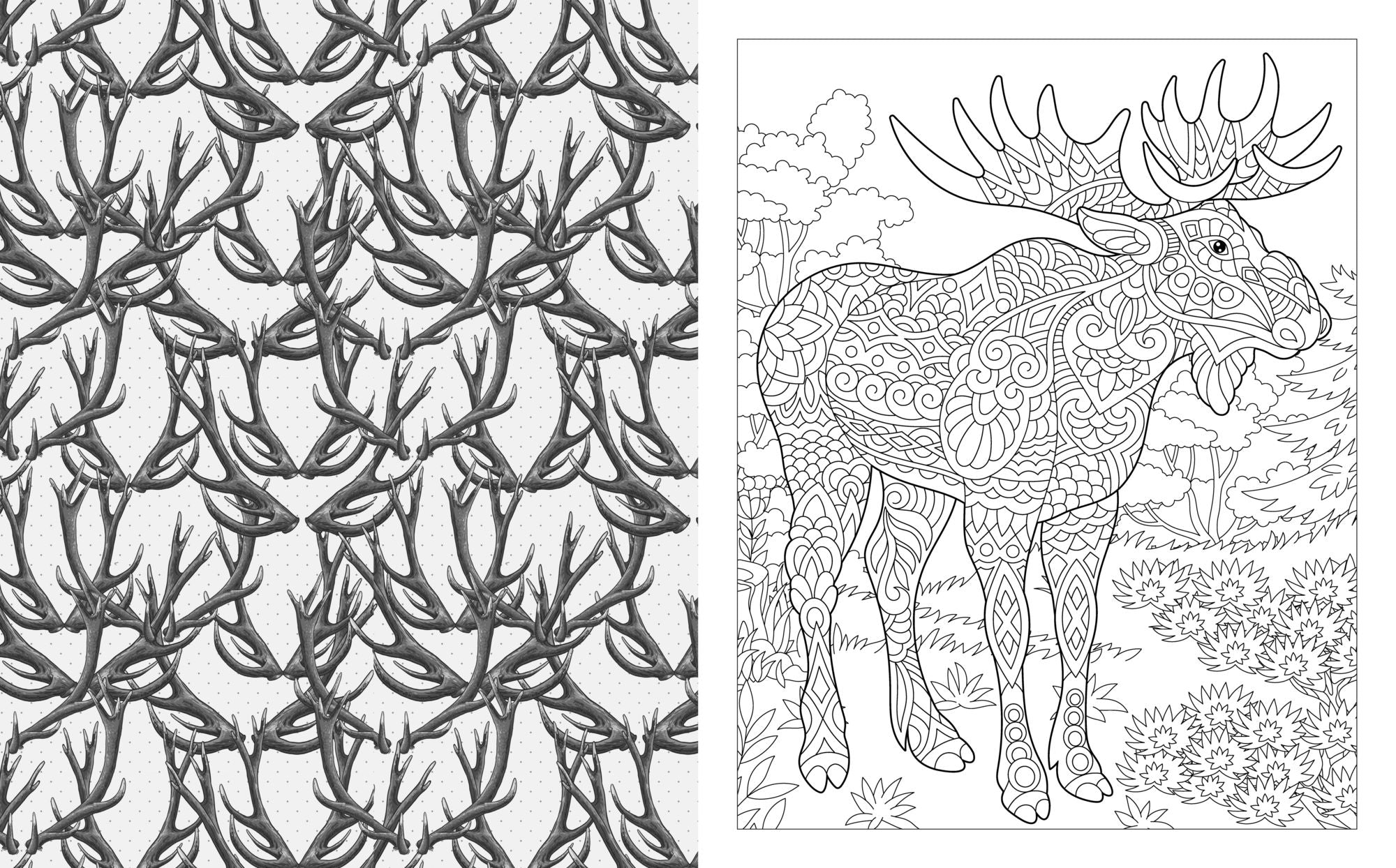 The Wild Animals Coloring Book: Over 45 Images to Color