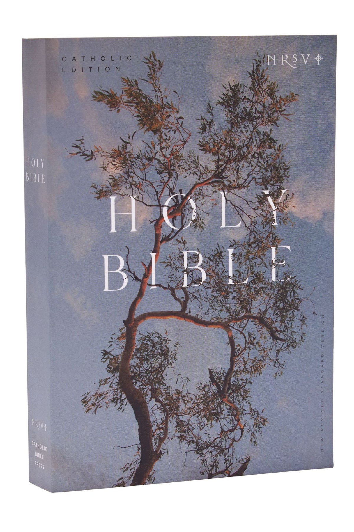NRSV Catholic Edition Bible, Eucalyptus Paperback (Global Cover Series): Holy Bible