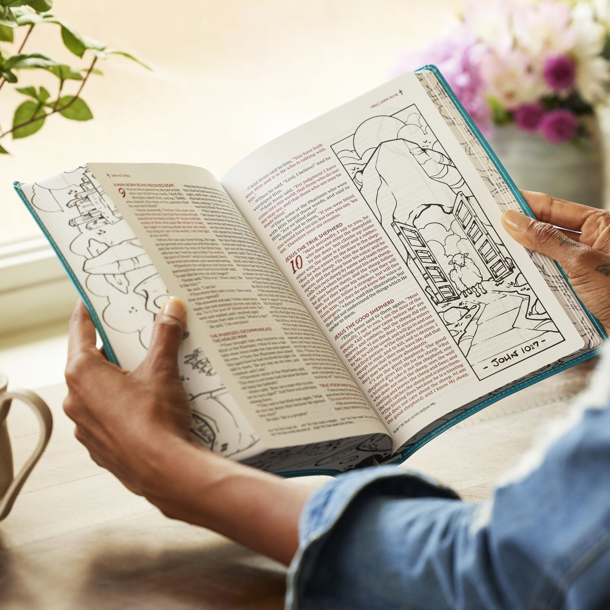 The Sketchbook Bible: The Complete Bible with Hundreds of Illustrations (NKJV, Hardcover, Red Letter, Comfort Print)
