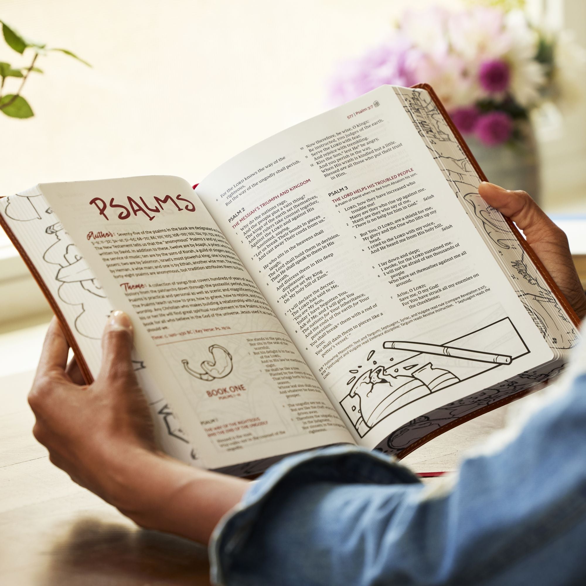 The Sketchbook Bible: The Complete Bible with Hundreds of Illustrations (NKJV, Hardcover, Red Letter, Comfort Print)