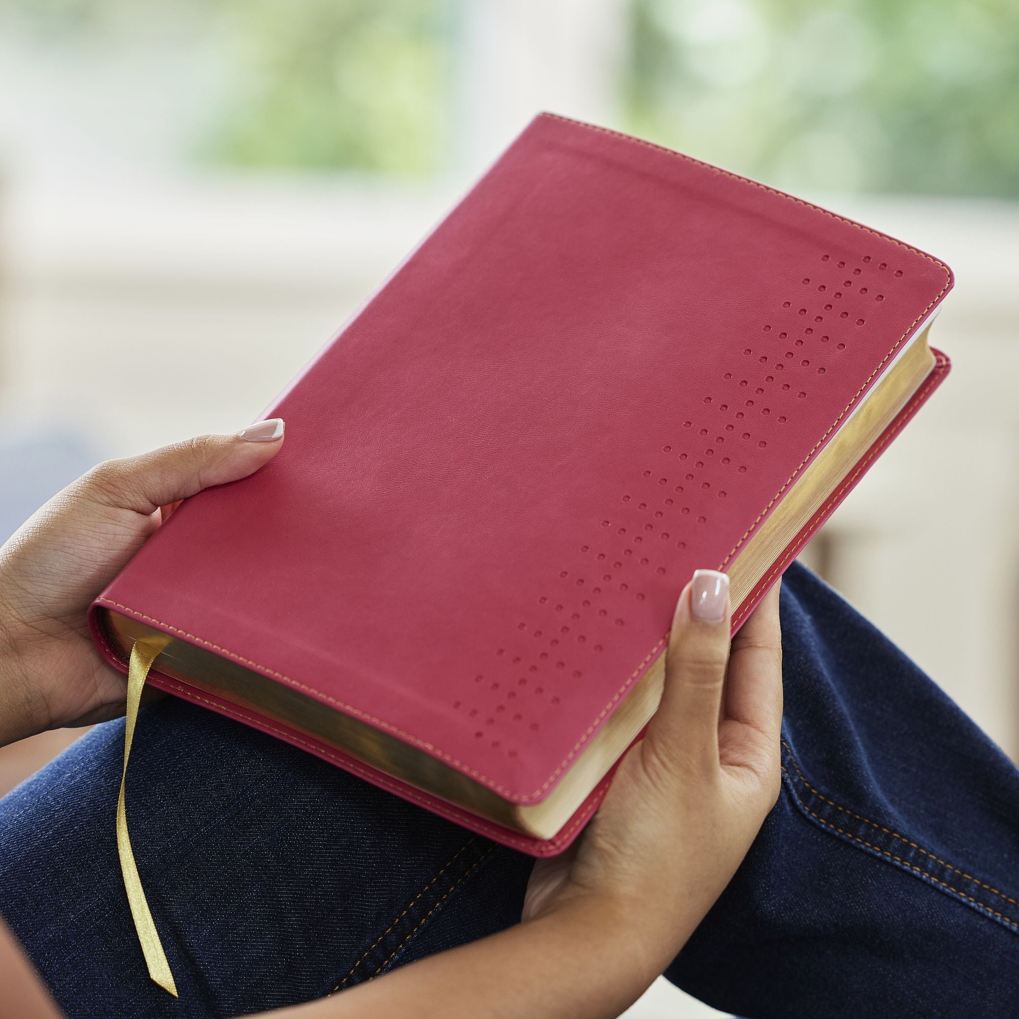 Student Study Bible: A Guide to Knowing and Living God's Word (NKJV, Pink Leathersoft, Red Letter, Comfort Print)