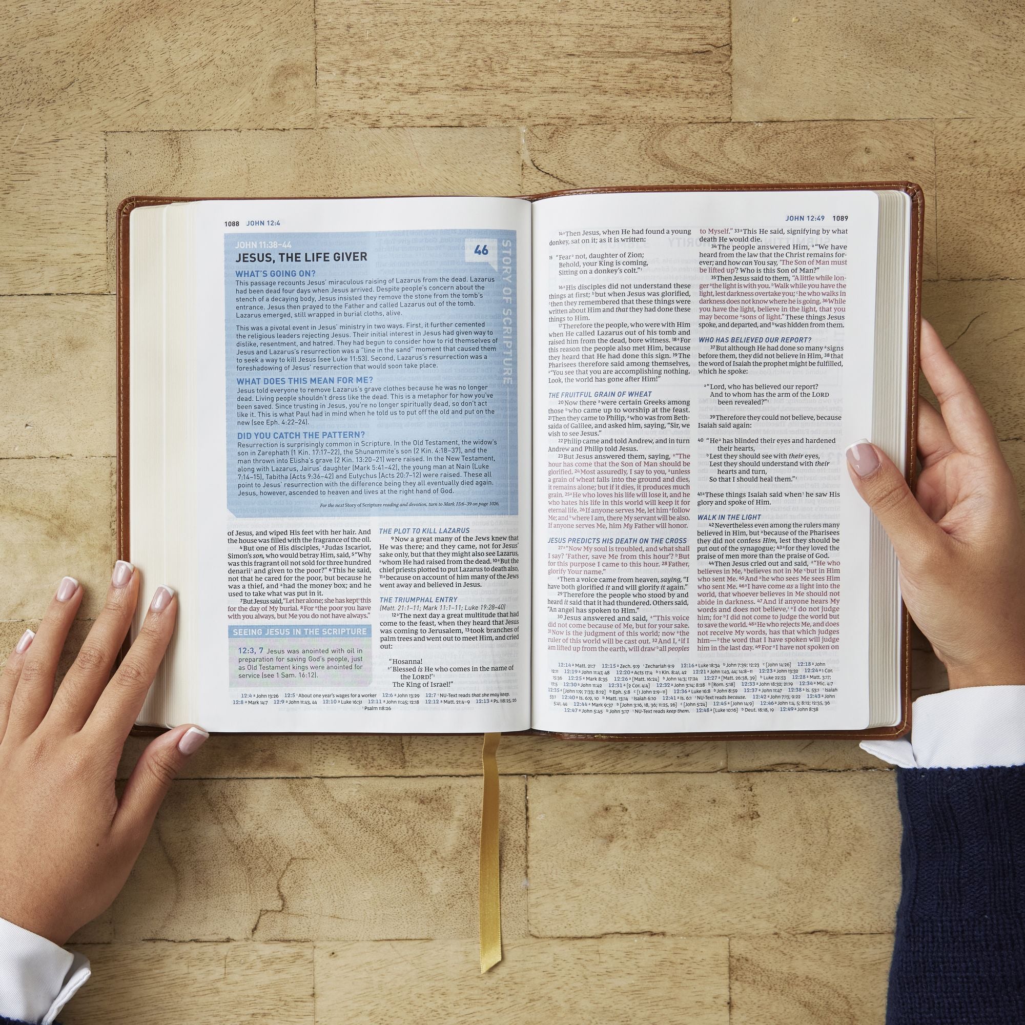 Student Study Bible: A Guide to Knowing and Living God's Word (NKJV, Pink Leathersoft, Red Letter, Comfort Print)