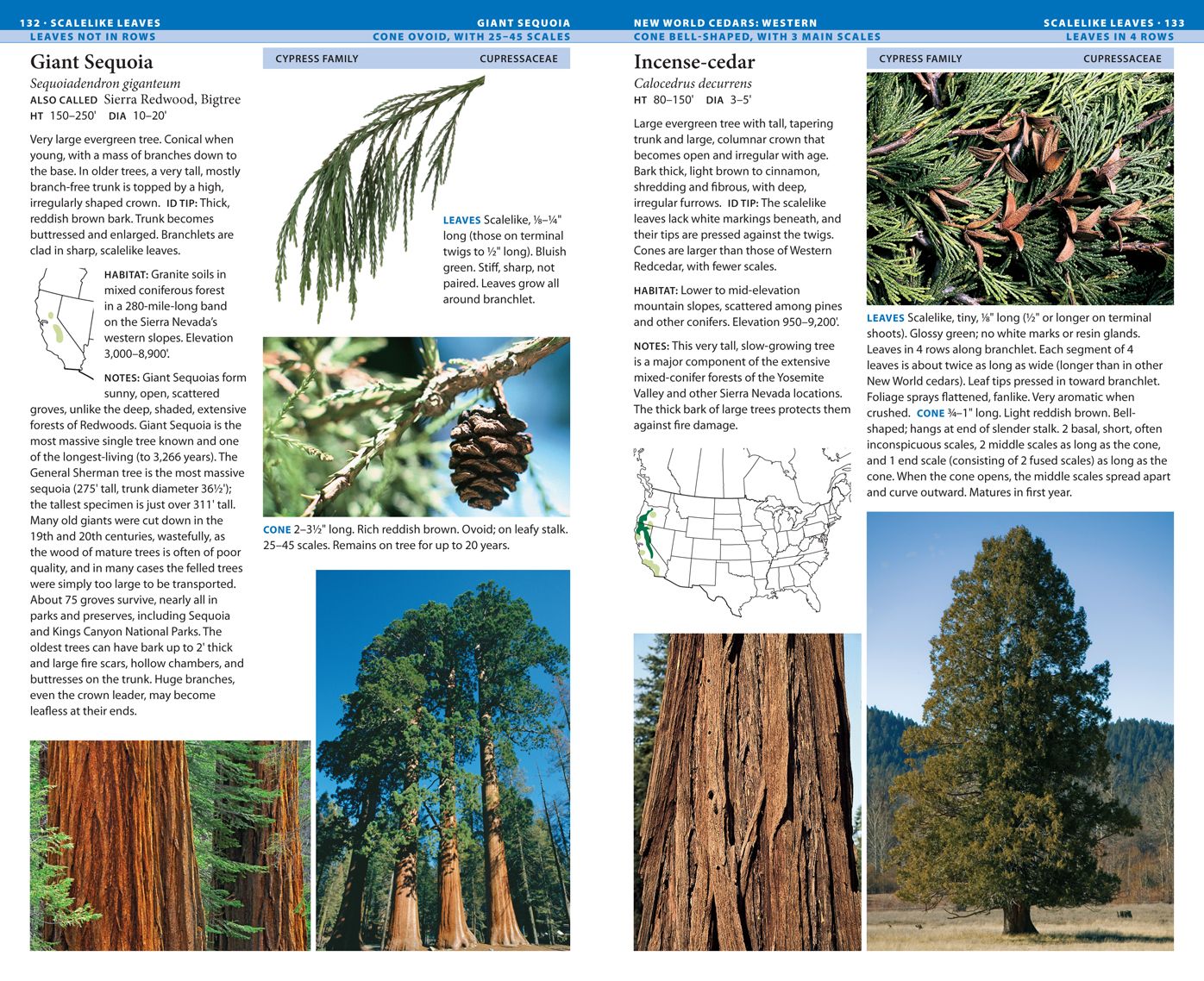 National Wildlife Federation Field Guide to Trees of North America