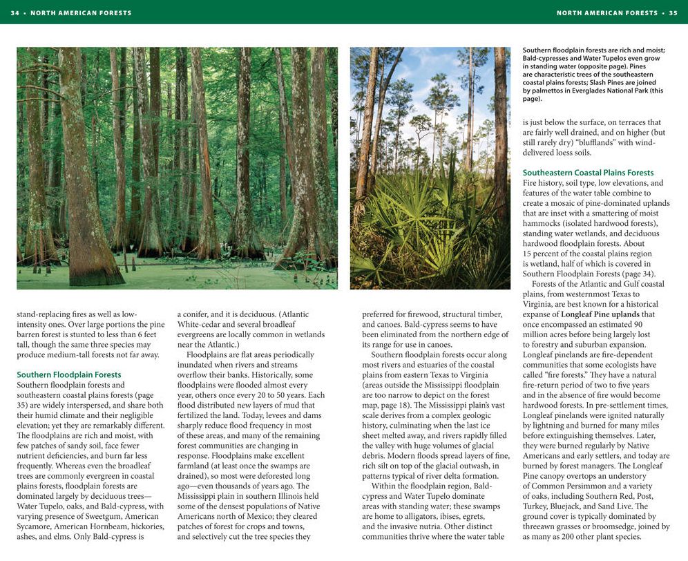 National Wildlife Federation Field Guide to Trees of North America