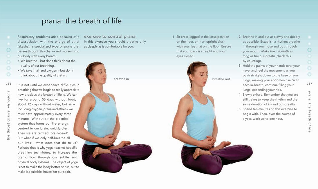 The Chakra Bible: The Definitive Guide to Working with Chakras