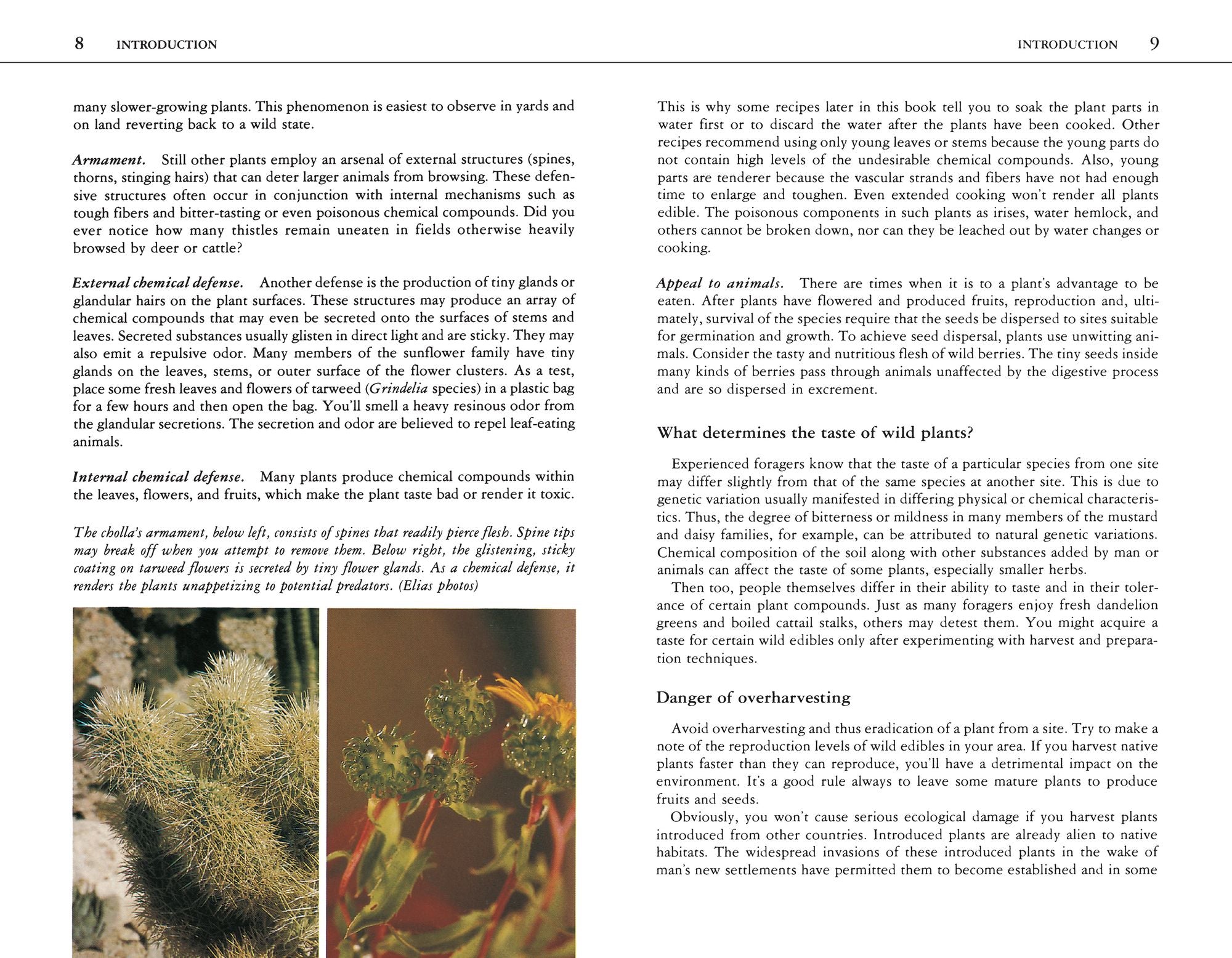 Edible Wild Plants: A North American Field Guide to Over 200 Natural Foods