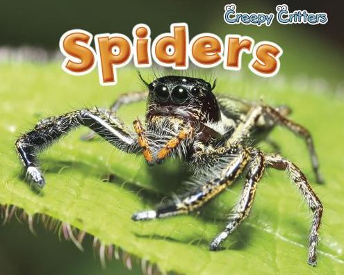 Spiders