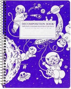 Kittens in Space Coilbound Large Decomposition Book