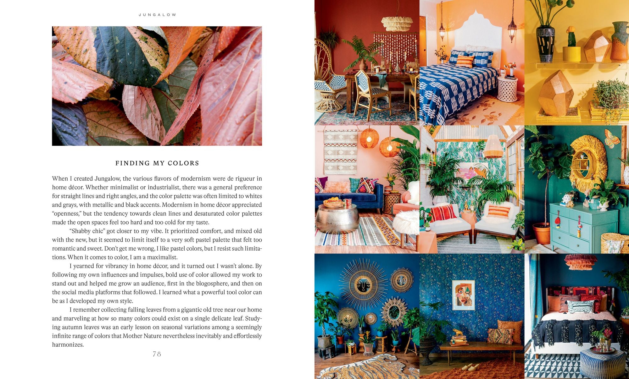 Jungalow: Decorate Wild
