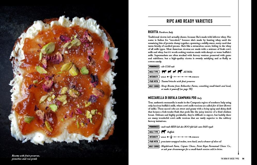 Cheese Sex Death: A Bible for the Cheese Obsessed