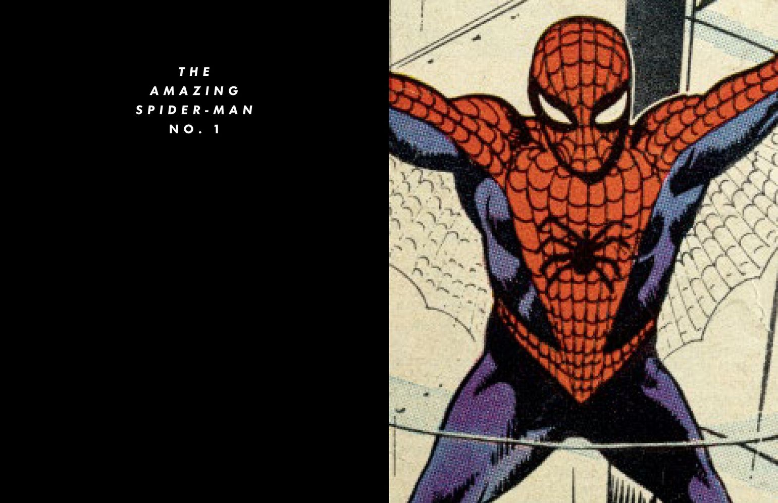 Spider-Man: Panel by Panel