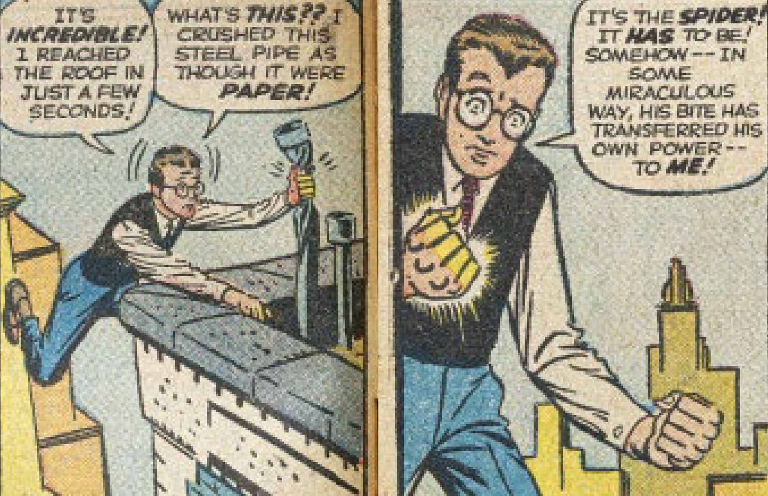 Spider-Man: Panel by Panel
