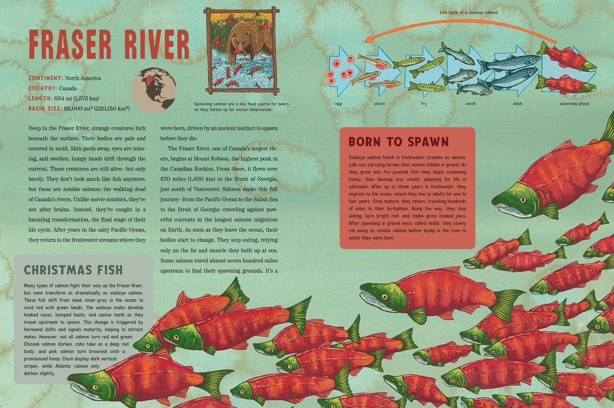 Spooky Rivers: 25 Strange and Mysterious Rivers that Snake Across Our Planet