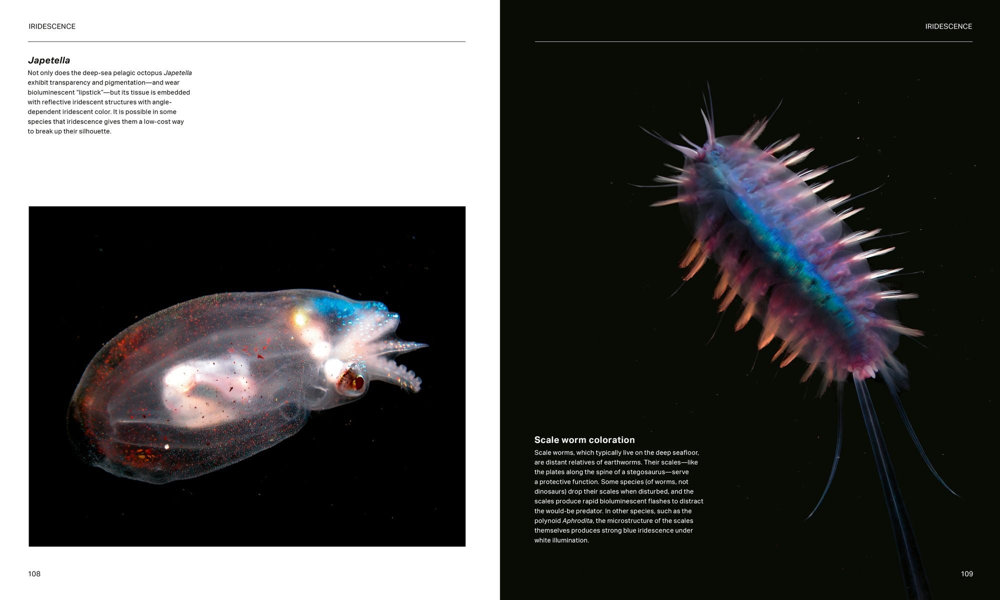 The Radiant Sea: Color and Light In the Underwater World