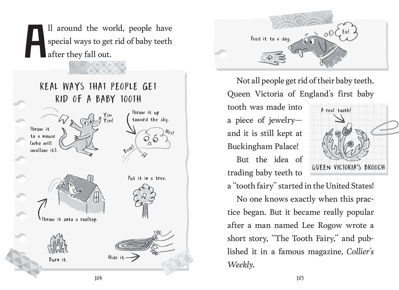 The Truth About the Tooth Fairy (Miriam's Magical Creature Files #1): A Chapter Book