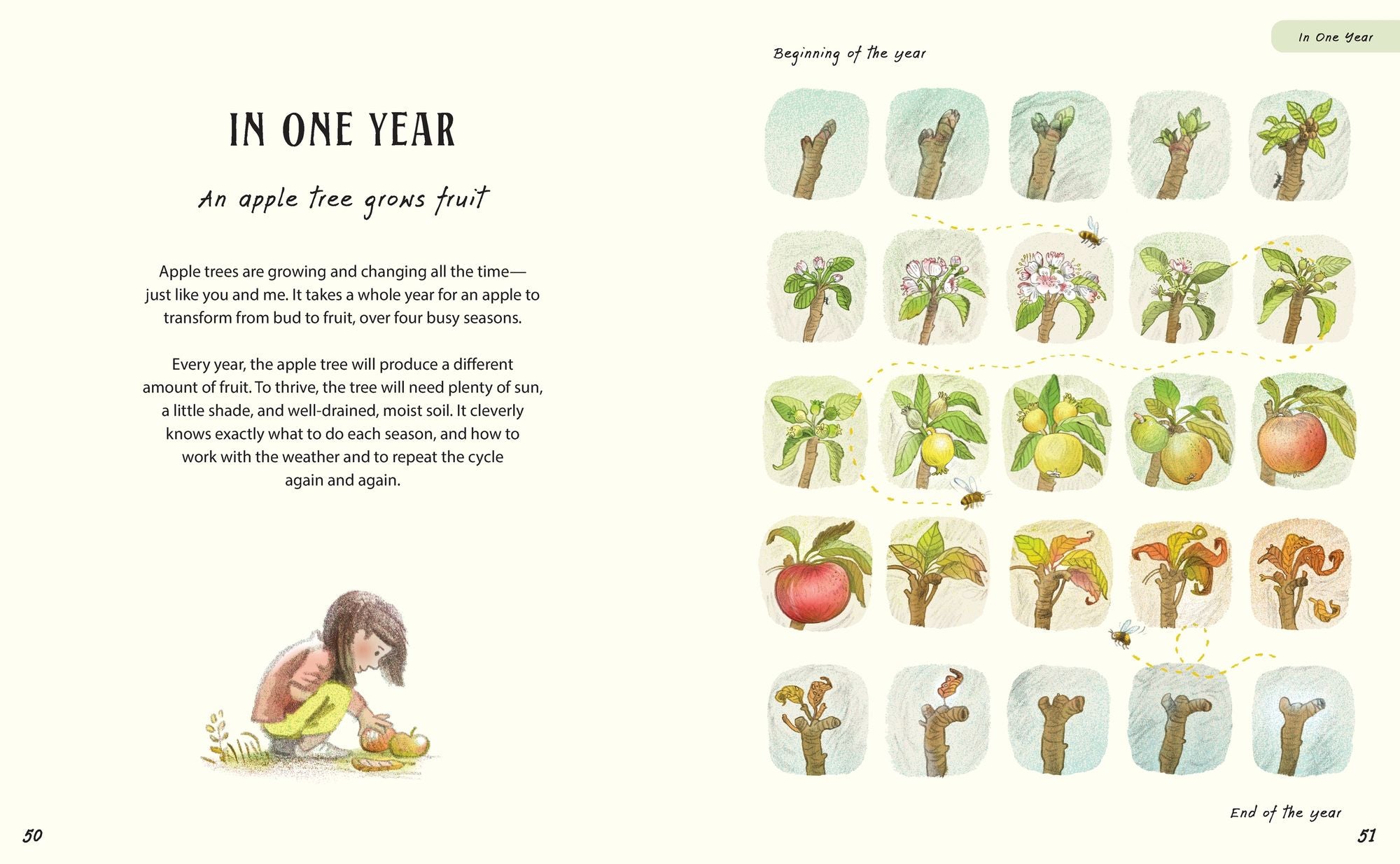 Patience . . . (A Slow Down Book): Discover How the Best Things in Life Take Time