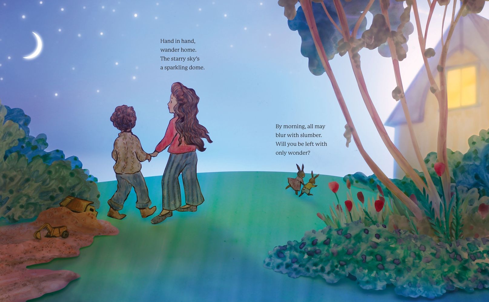 The Bunny Ballet: A Picture Book