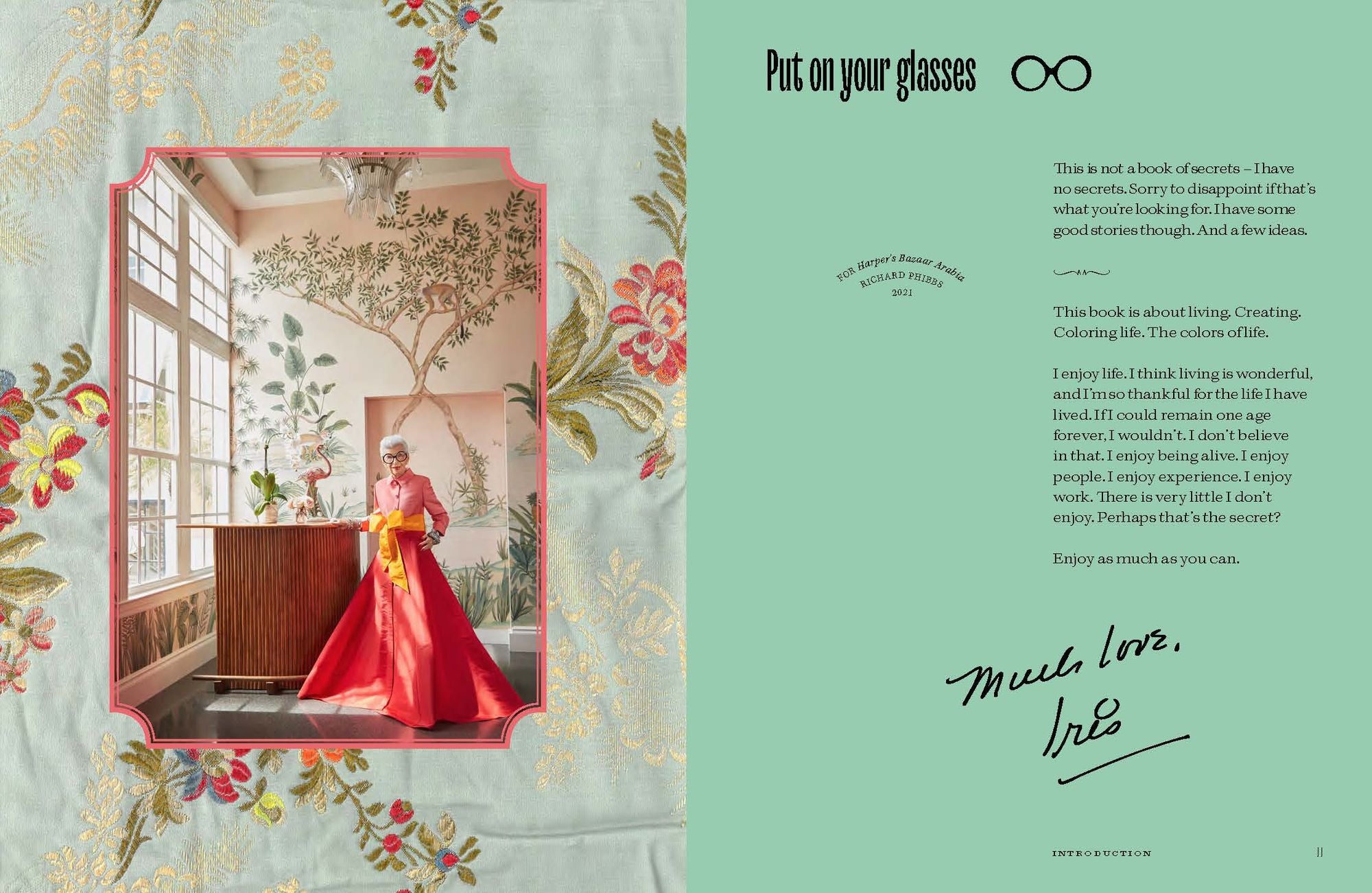 Iris Apfel: Colorful: A Treasure Trove of Inspiration, Influences, and Ideas