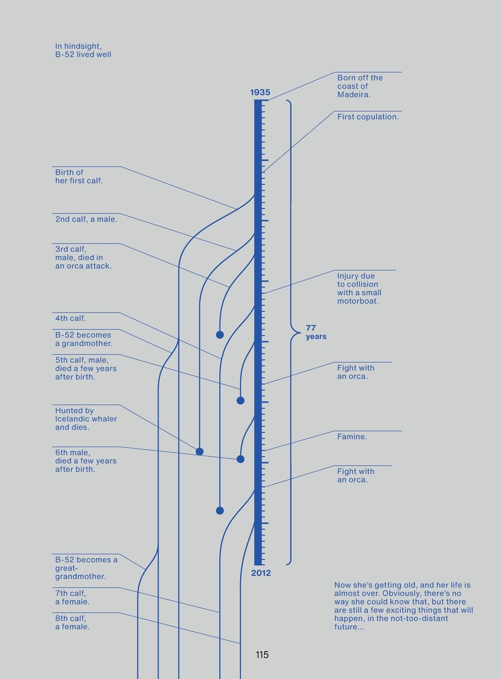 From Above: An (Info)graphic Novel