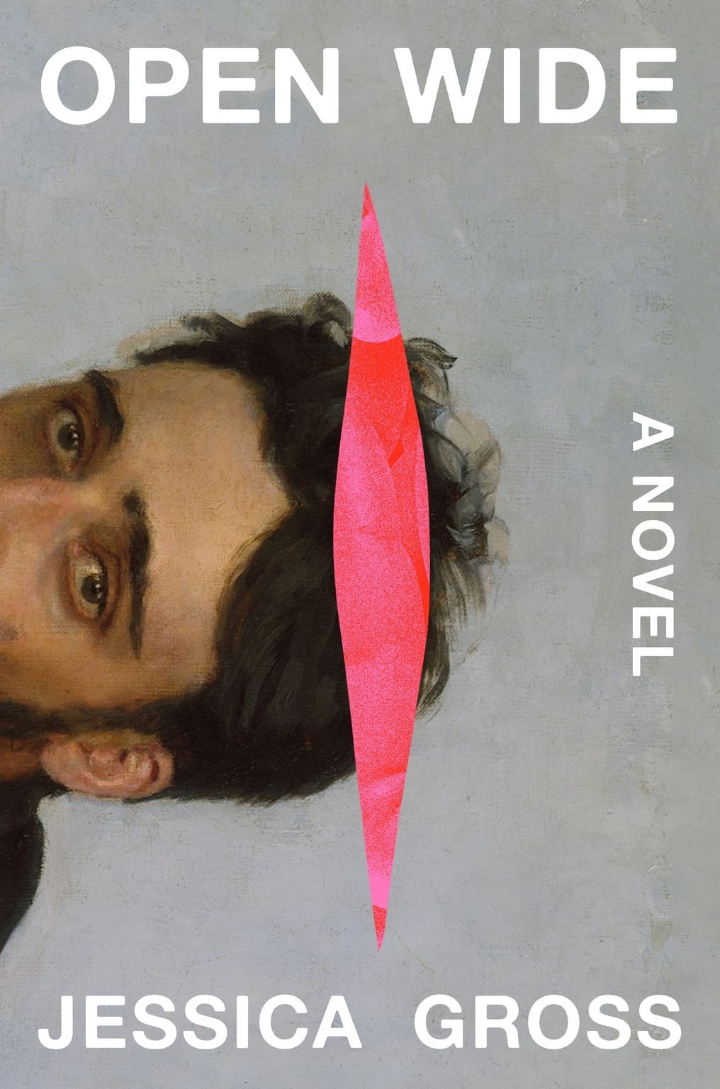 Open Wide: A Novel