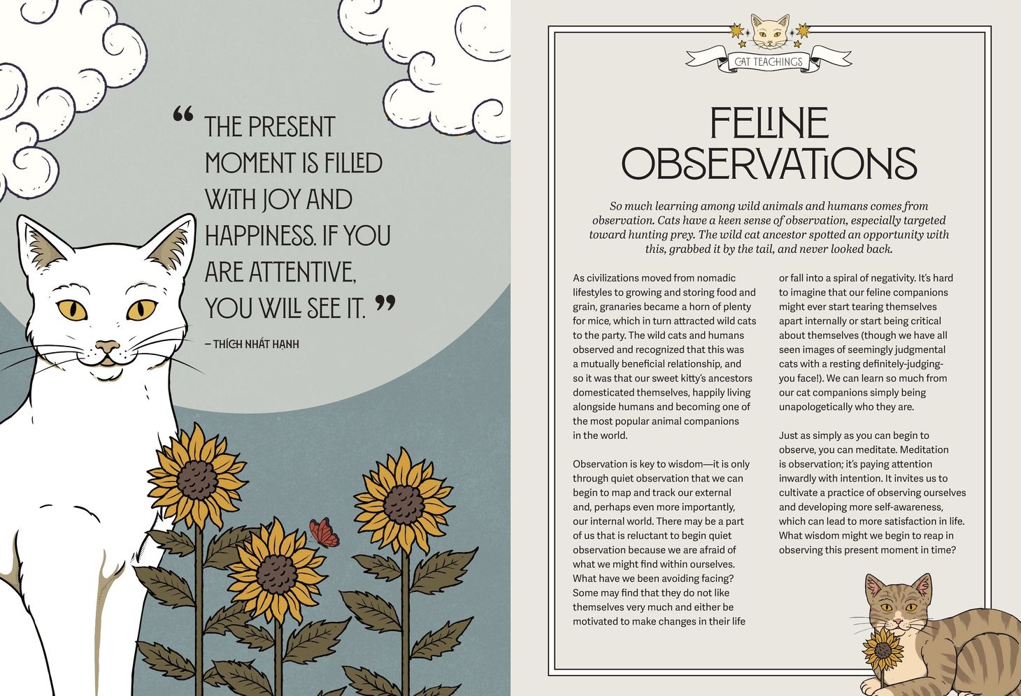 Mystic Kitty: A Cat's Guide to Meditation
