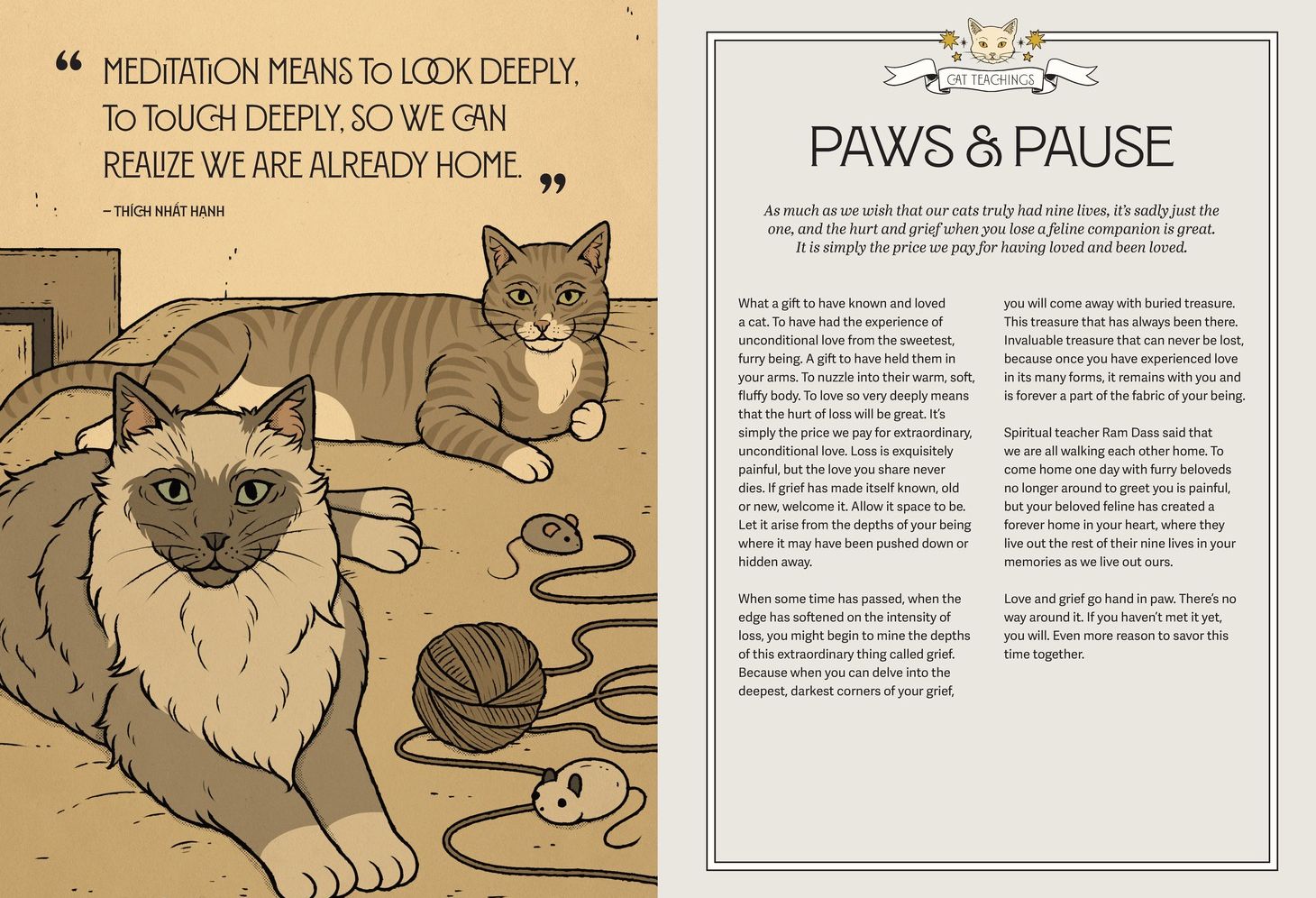 Mystic Kitty: A Cat's Guide to Meditation