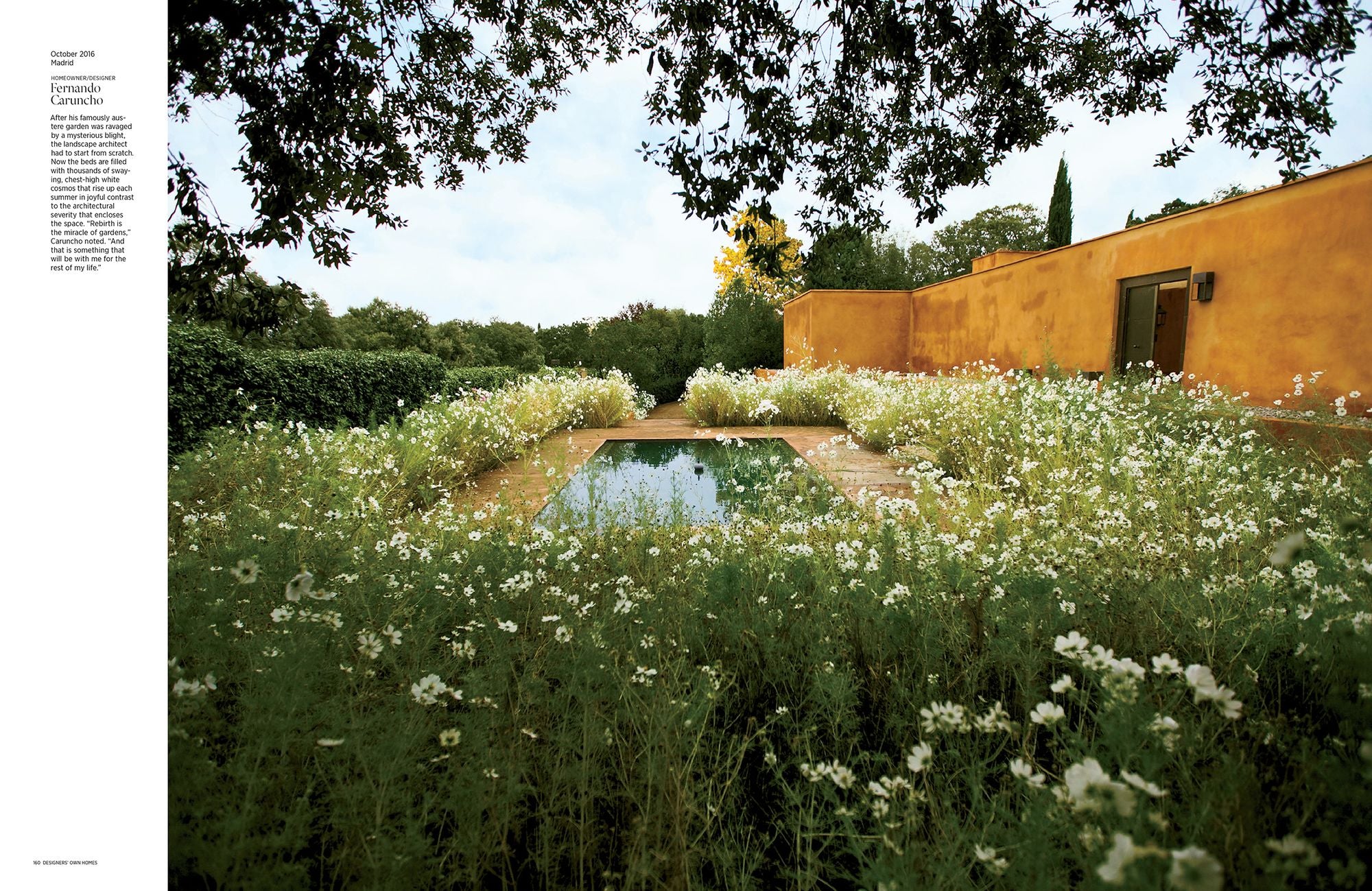 Architectural Digest at 100: The Collector's Edition: A Century of Style