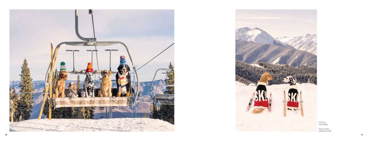 Gray Malin: Snow
