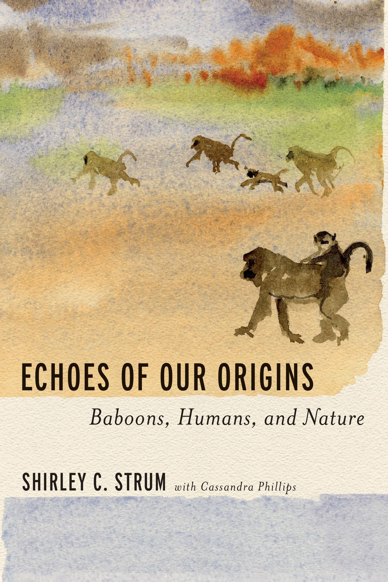 Echoes of Our Origins: Baboons, Humans, and Nature